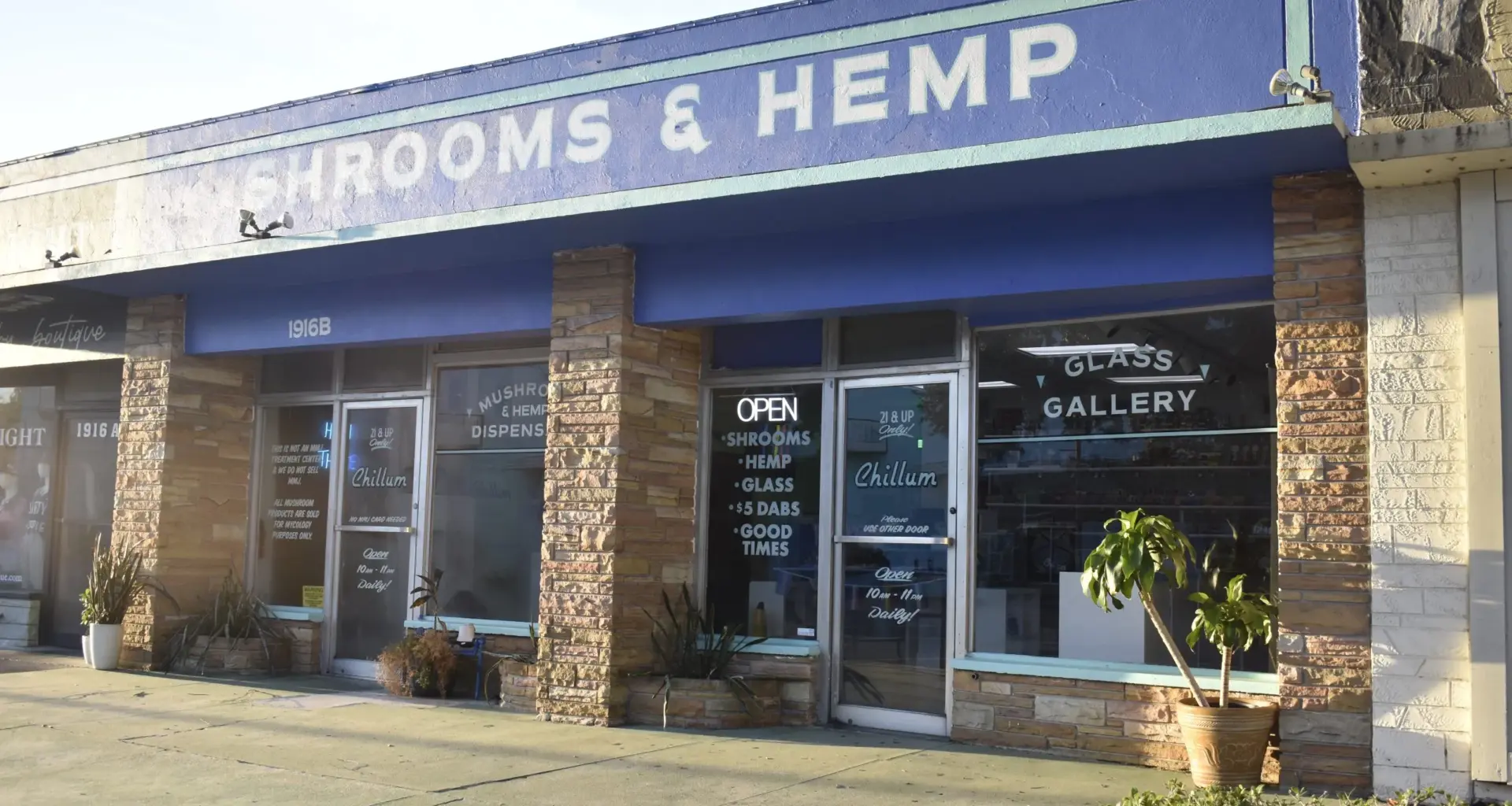 'Legal mushroom dispensary' in St. Pete will close on Sunday