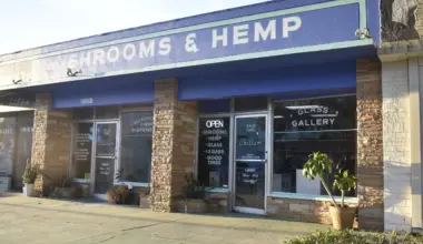 'Legal mushroom dispensary' in St. Pete will close on Sunday