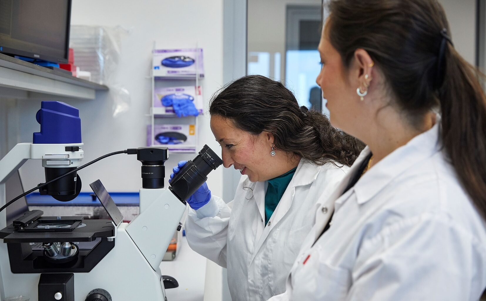 New Florida law brings Israeli stem-cell innovator to state