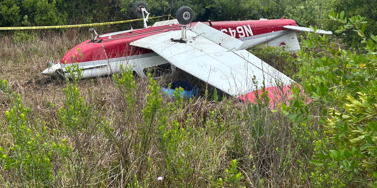 Pilot escapes injury after plane crashes, lands on roof in Martin County's Hungryland Preserve