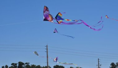 Orlando Kite Festival brings tons of family fun and STEM concepts for kids – Orlando Sentinel