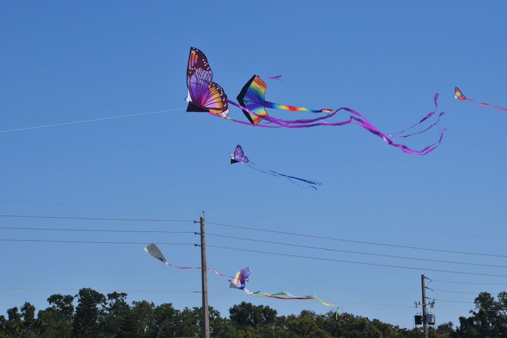 Orlando Kite Festival brings tons of family fun and STEM concepts for kids – Orlando Sentinel