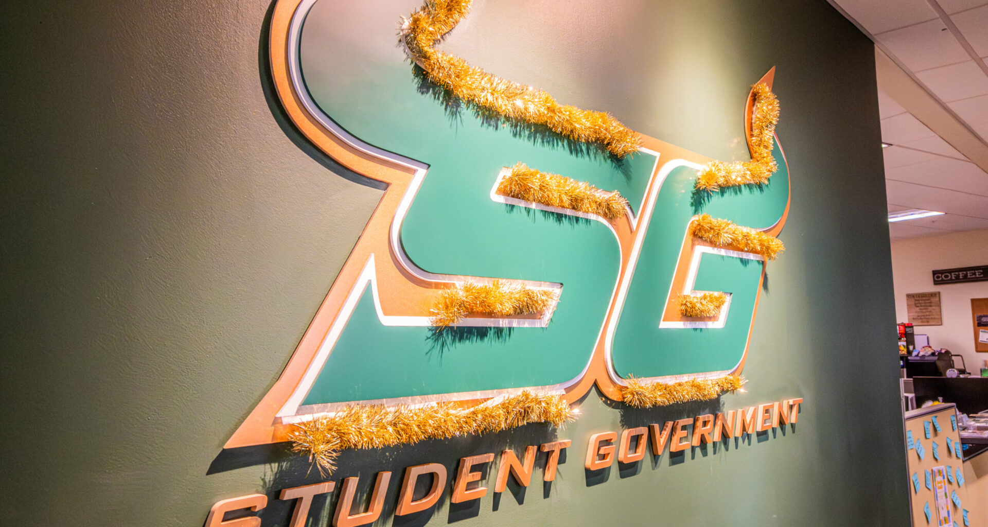 USF SG Senate passes $21 million fiscal bills, awaits administrative approval 