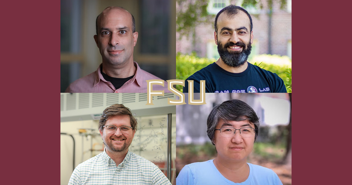 Florida State University celebrates early career faculty with Developing Scholar Awards