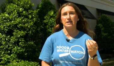 Advocates urge Florida Senate leader to support energy reforms amid rising bills