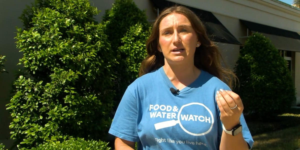 Advocates urge Florida Senate leader to support energy reforms amid rising bills