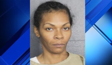Woman steals SNAP benefits from about 200 people
