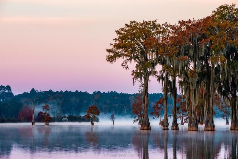This Florida city lets you cover rent, food, and bills for around $1,500 a month 14 Building a Social Life Without Overspending
