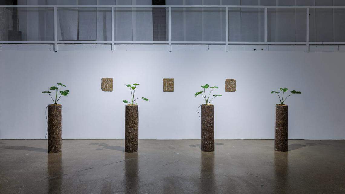 Locust Projects presents Ema Ri’s contemplative exhibition