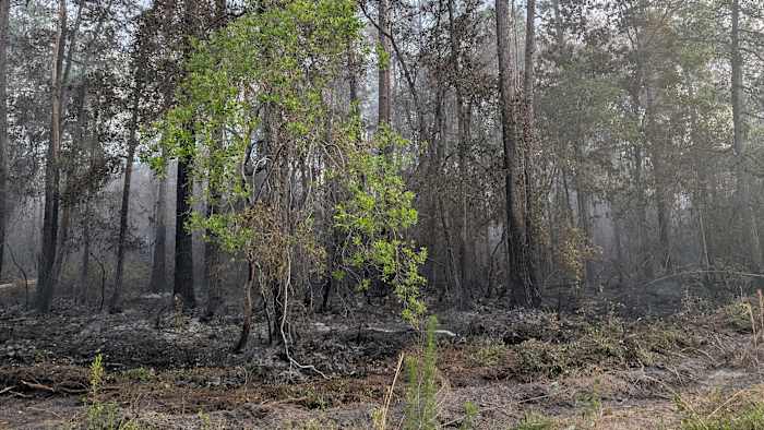 Evacuations, closures, warnings & more as wildfire spreads in Clay, Putnam counties