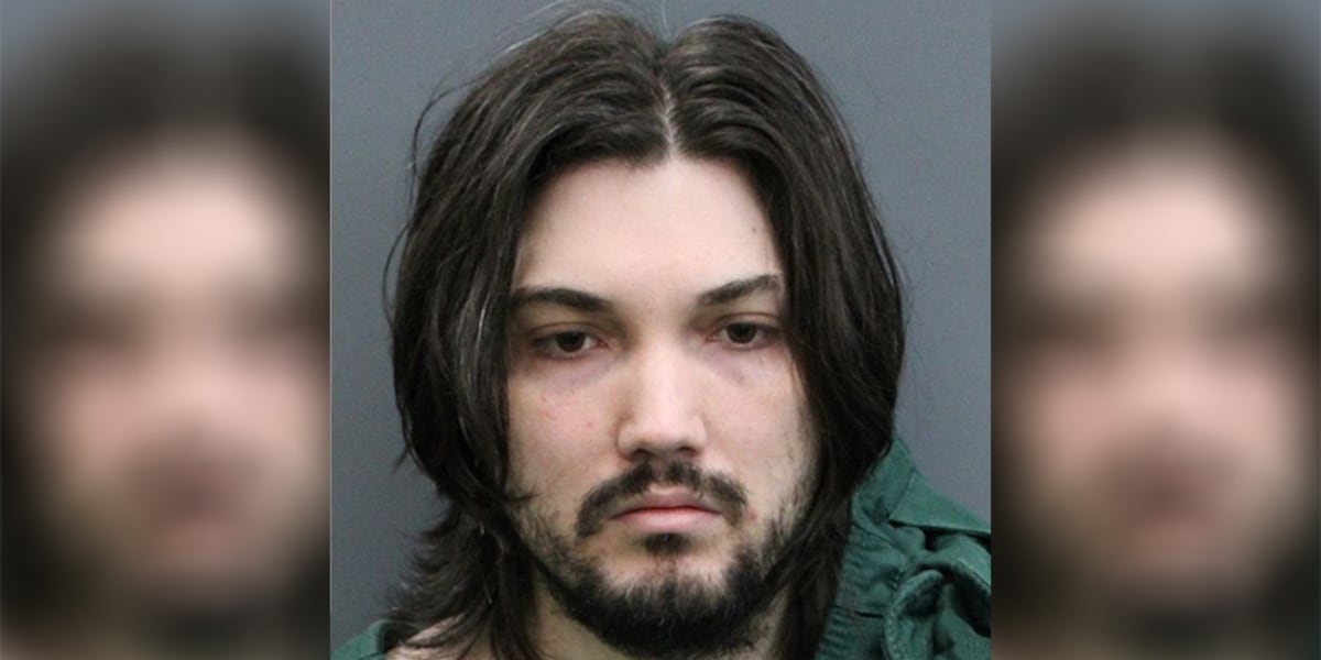 Tampa man arrested on 100 child pornography charges