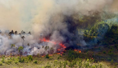Putnam County wildfire grows to 30 acres, six structures threatened in Bostwick