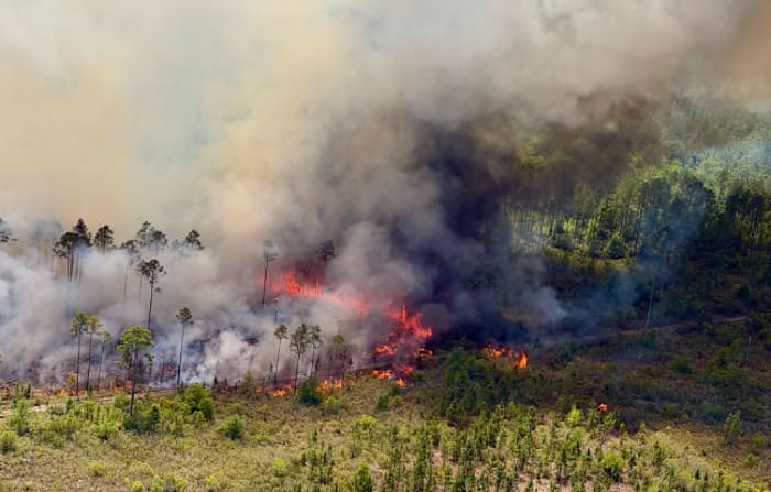 Putnam County wildfire grows to 30 acres, six structures threatened in Bostwick