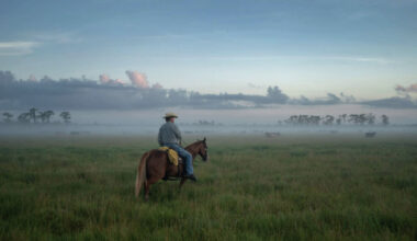 Controversy brews over Fort DeSoto Park film production