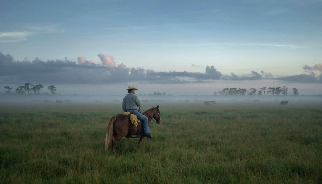 Controversy brews over Fort DeSoto Park film production