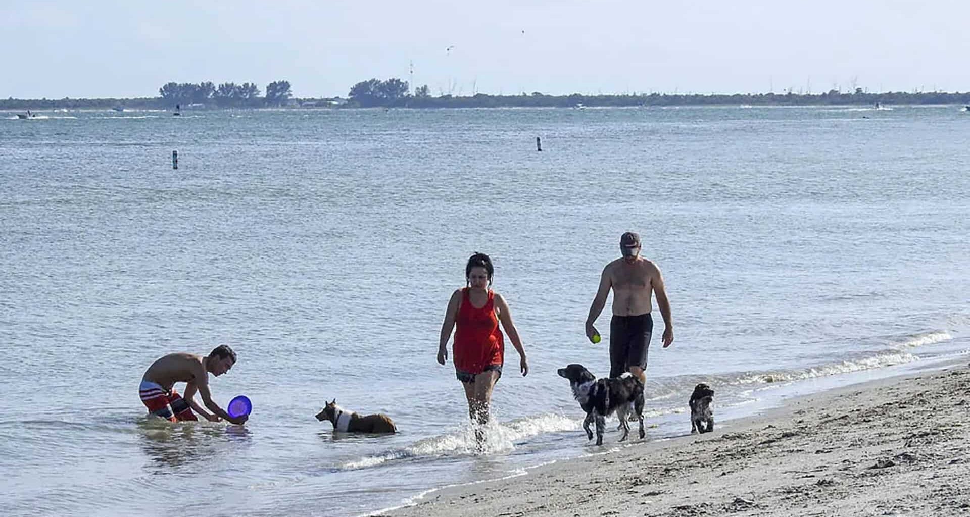a group of people walk in a dog beach