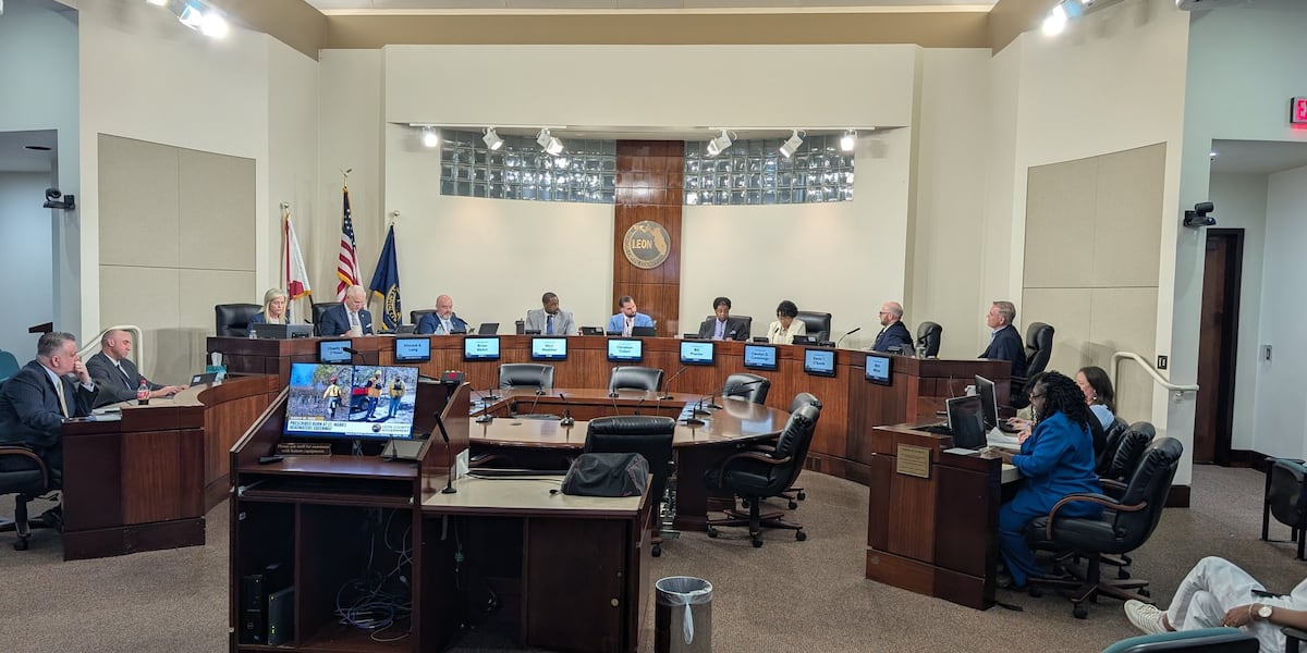 Leon County Commission revives historical harms charter amendment with revisions