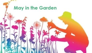 It's almost May, here's the to-do list for Central Florida gardens