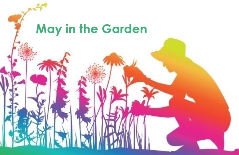 It's almost May, here's the to-do list for Central Florida gardens