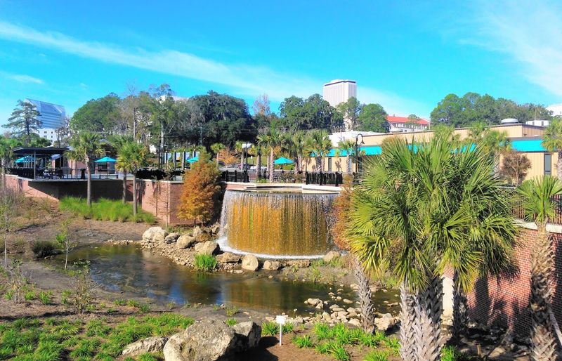 This Florida city lets you cover rent, food, and bills for around $1,500 a month 6 Eating Out Without Blowing Your Budget