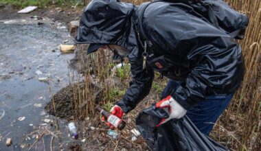 Earth Day Activities in Miami: Beach Cleanups and More