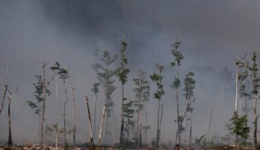 South Florida deals with worst drought in decades – NBC 6 South Florida