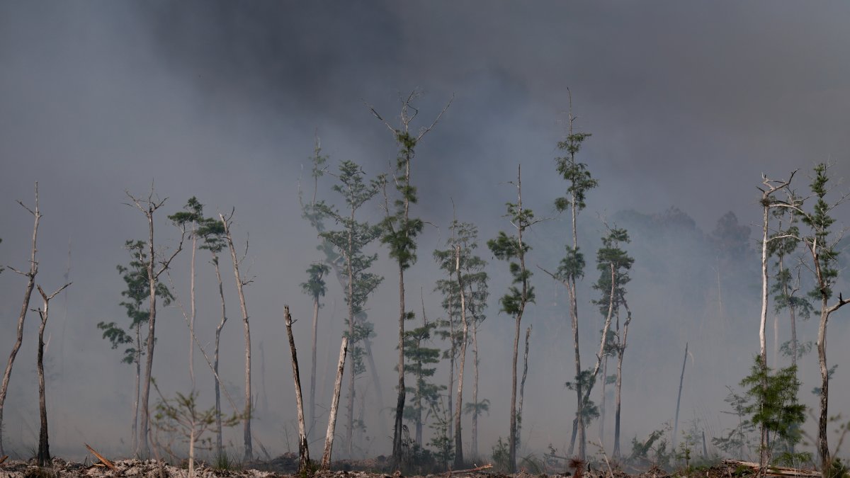 South Florida deals with worst drought in decades – NBC 6 South Florida