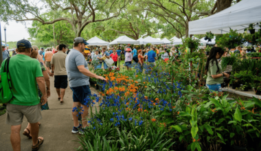 Green Thumb Festival brings 120+ vendors, and a big flower show to St. Pete