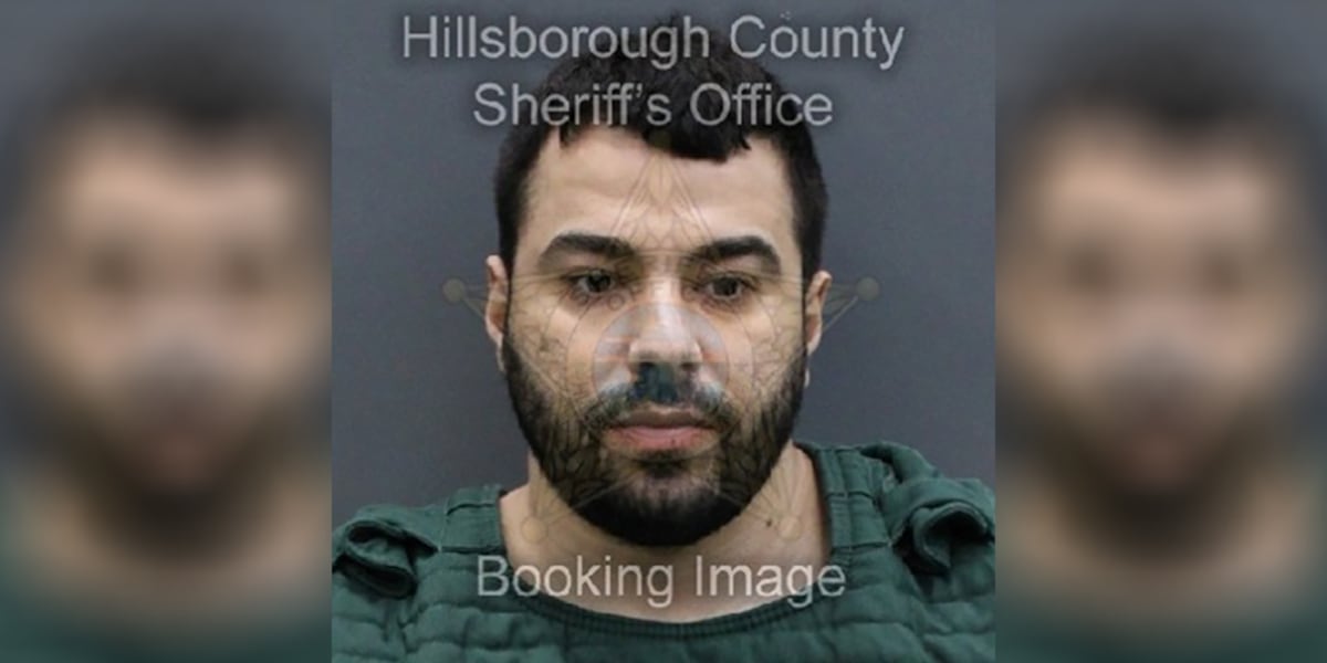 USF murder suspect’s ChatGPT searches to be used in state case against OpenAI