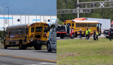 Jacksonville Zoo says it’s working with officials to strengthen traffic safety measures surrounding the area