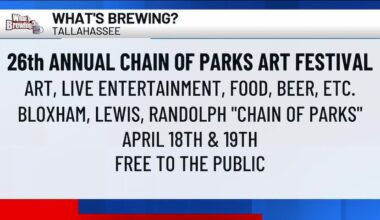 What’s Brewing - 26th annual Chain of Parks Art Festival