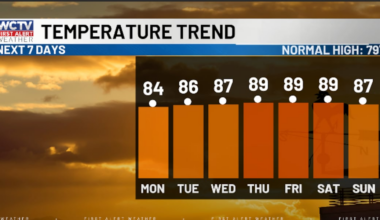 Still feeling like summer for the work week 🌡️