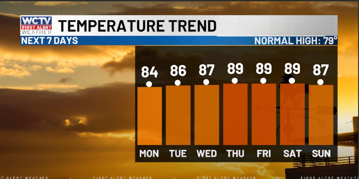 Still feeling like summer for the work week 🌡️