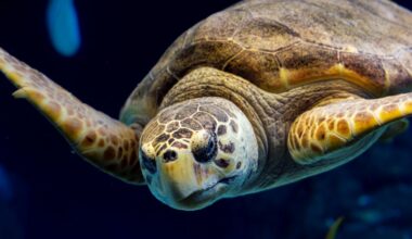 Florida Aquarium Competes for Top 10 Spot in USA Today's 10Best Readers' Choice Awards