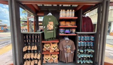 'Dungeons & Dragons' Merchandise from Fan Fest Nights Materializes at Universal Studios Florida