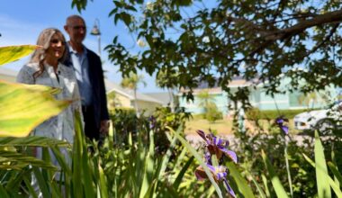 Water-wise landscapes get recognition from Tampa Bay Water