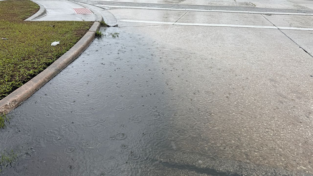 Despite rain, wildfire risk remains high in Central Florida