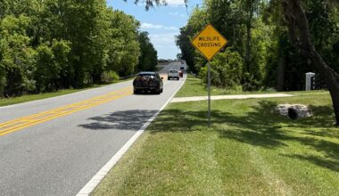 Orange County Buys 355 Acres to Create Buffer Zone