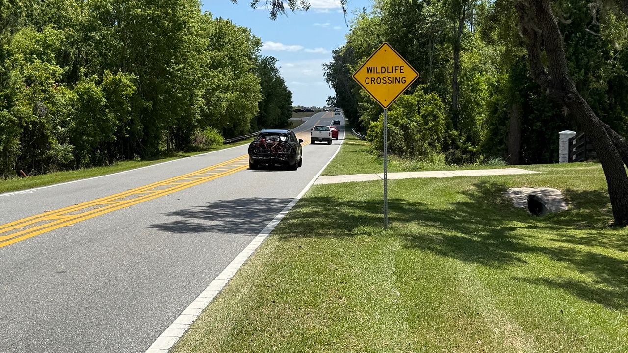 Orange County Buys 355 Acres to Create Buffer Zone