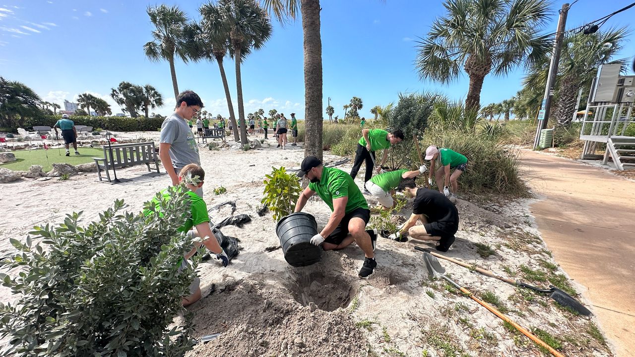 Nonprofit restores areas affected by 2024 storms by planting