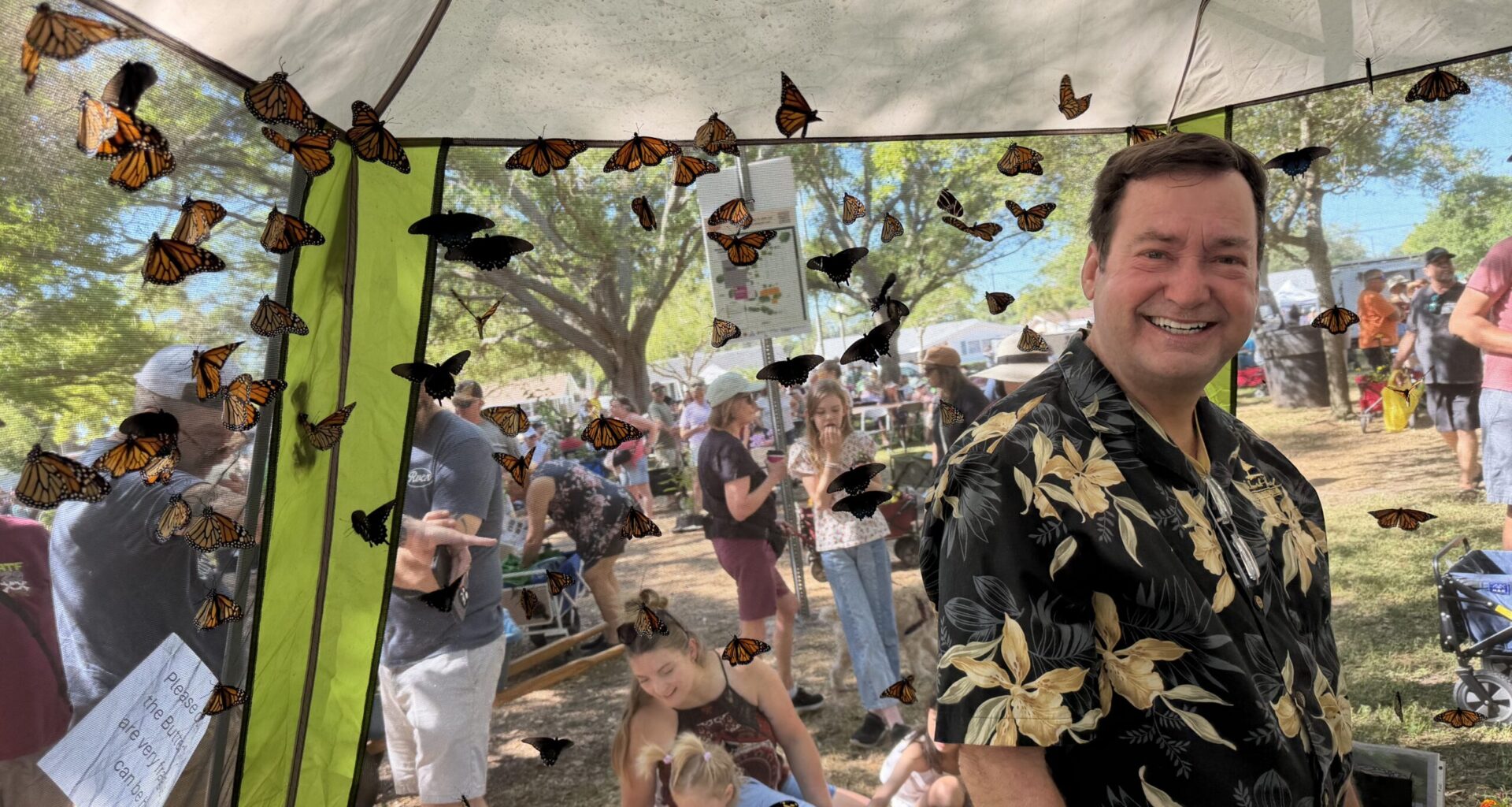 Wings take flight: butterflies at the Green Thumb Festival