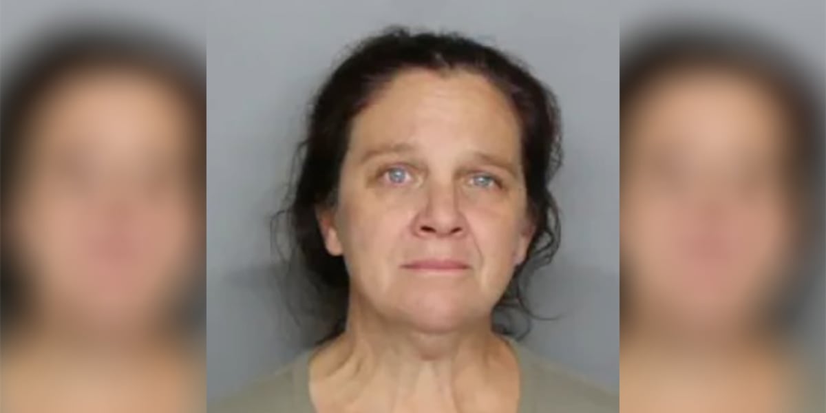 Woman facing additional burglary-related charges in Charlotte, Sarasota counties