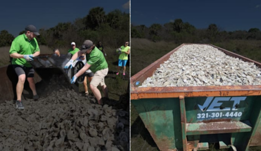 What are these Publix workers doing on the coast of Central Florida?