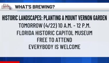What’s Brewing - Historic Landscapes: Planting a Mount Vernon Garden