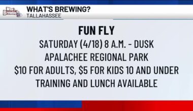 What’s Brewing - Fun Fly