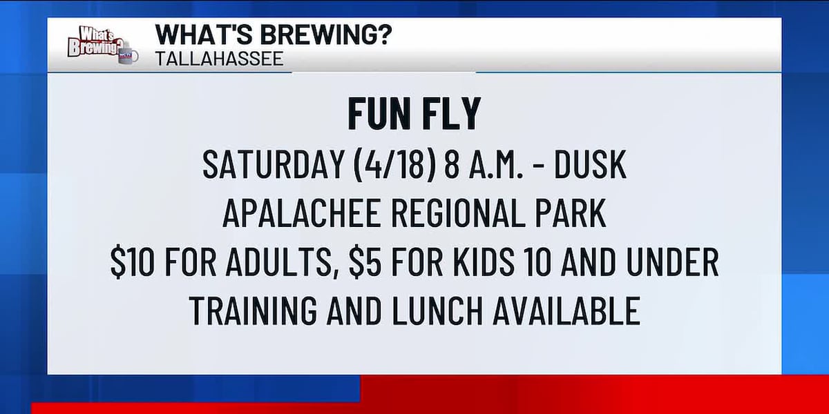 What’s Brewing - Fun Fly