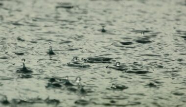 Is Florida’s wet season here?