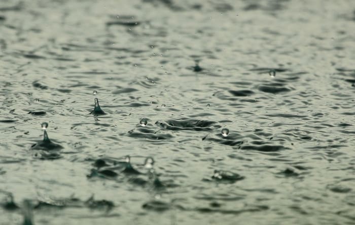 Is Florida’s wet season here?