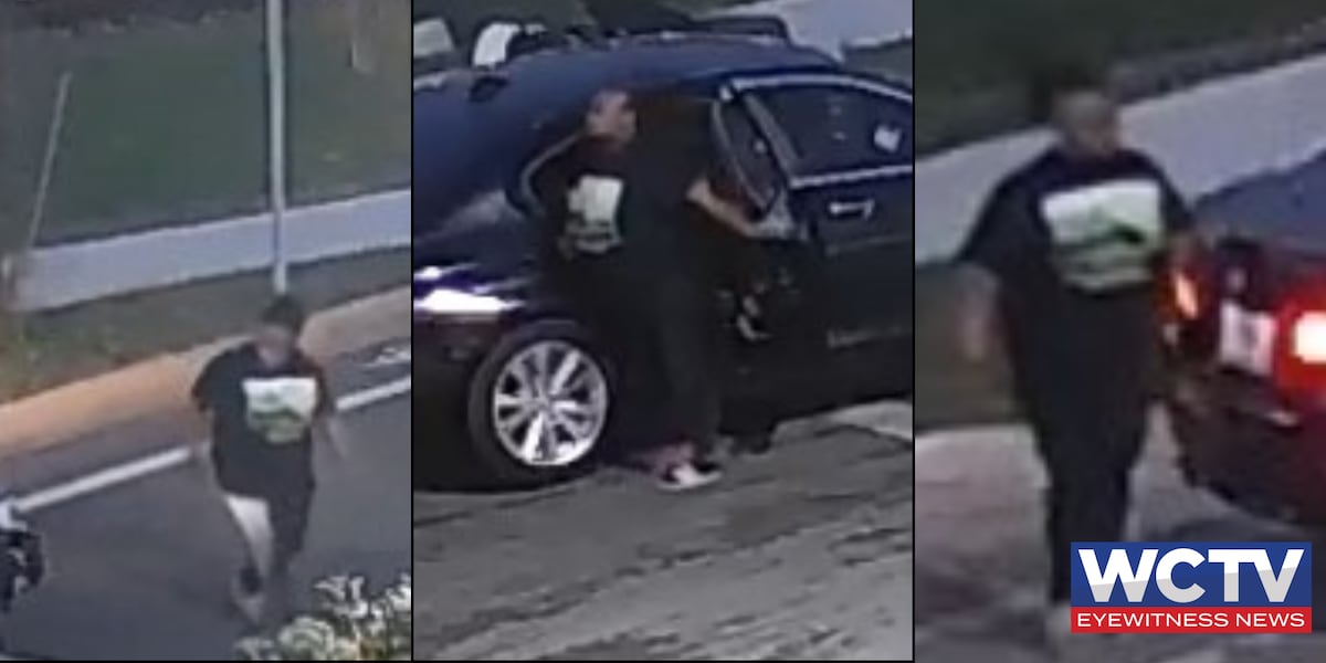 TPD arrests driver in deadly northwest Tallahassee pedestrian hit-and-run