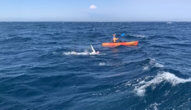 woman swimming next to kayak